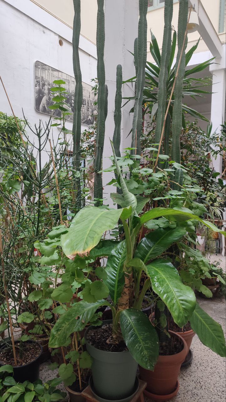 photo_2023-04-01 22.59.09.jpeg